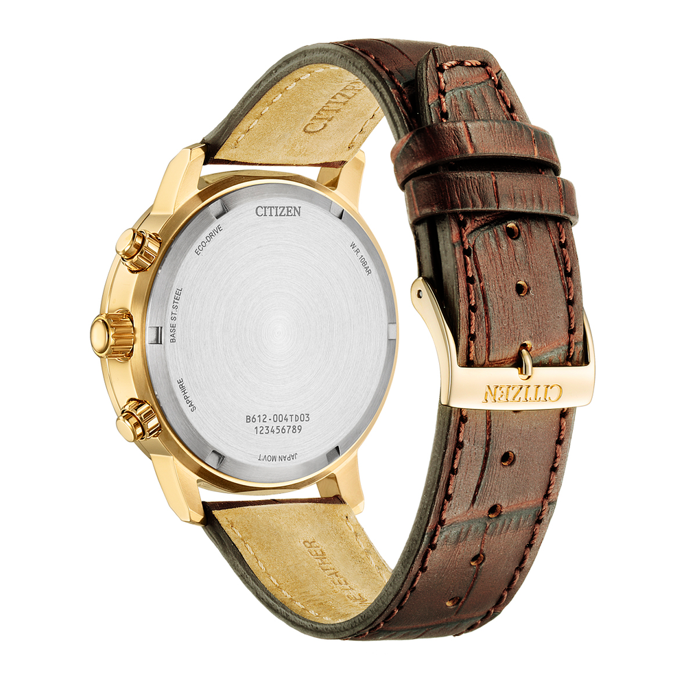Citizen Men's Watch in Gold Angus Coote